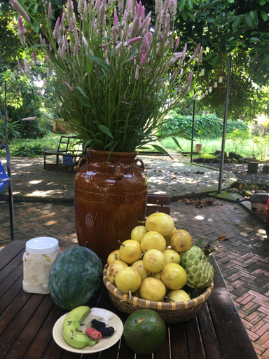 Food & Drinks 5, Buon's Garden, Buon Ma Thuot