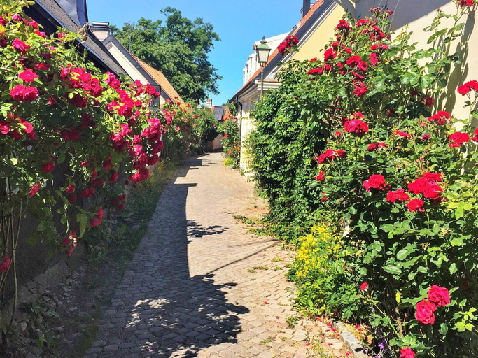 Others 4, person holiday home in VISBY-By Traum, Gotland