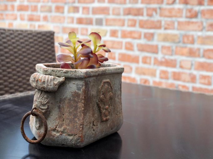Food & Drinks, Modern Villa w Private Yard, West-Vlaanderen