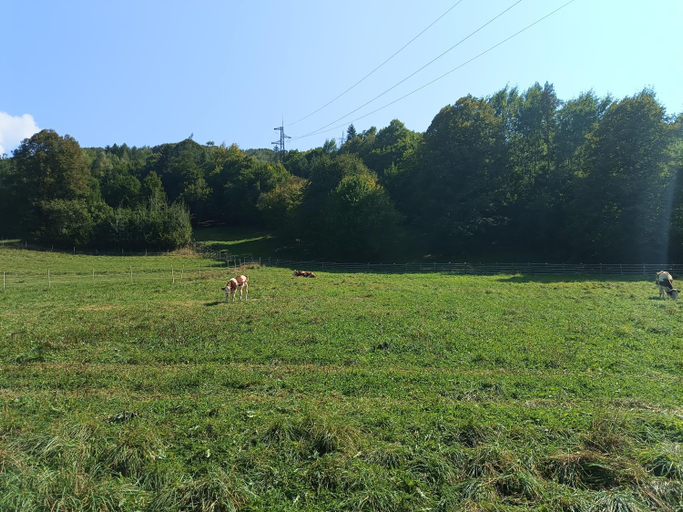 Others 5, Agroturystyka Krolowo, Nowy Targ