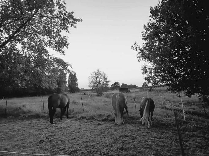 Others 4, Suite Demeure en Soi, Nord