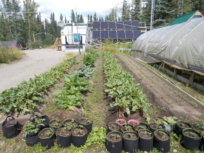 Others 3, Arctic Homestead Suite 2, Yukon