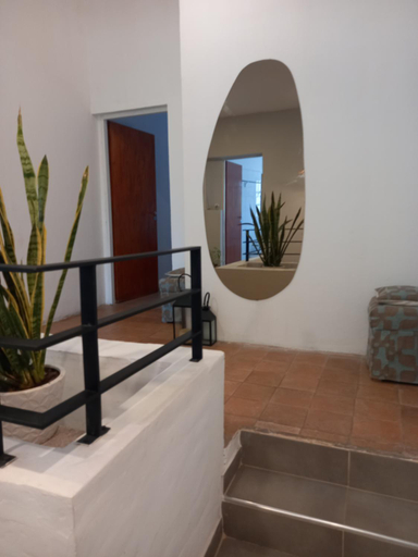 Others 4, Linas Apart & Suite, Capital
