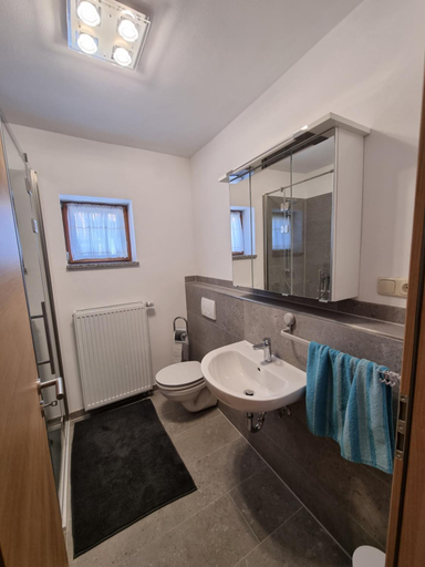 Bathroom 3, Holzkastl, Passau