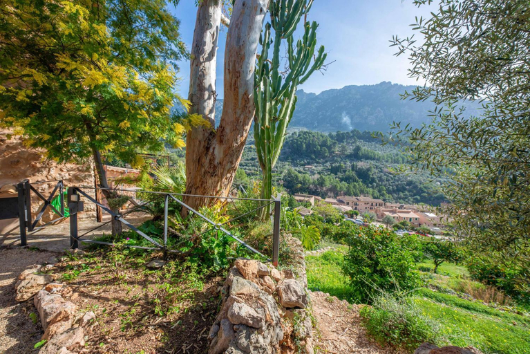 Surrounding environment 4, Sa Teulera -Fornalutx-, Baleares
