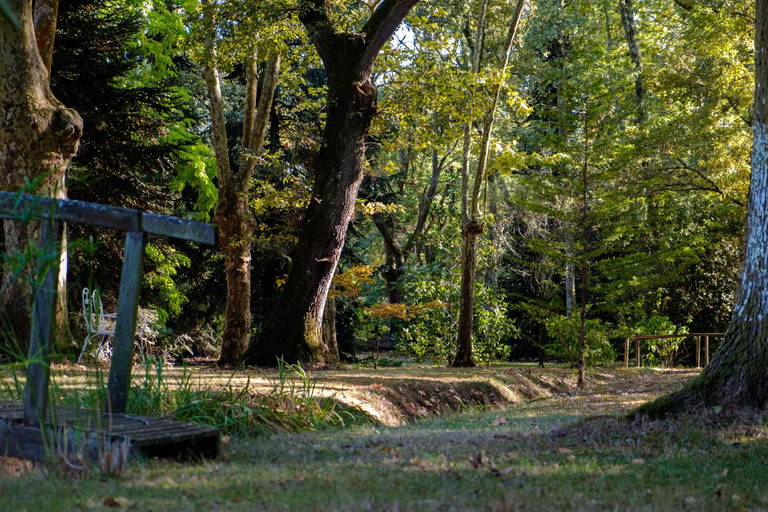 Others 4, Parc de L'Aiguade, Landes
