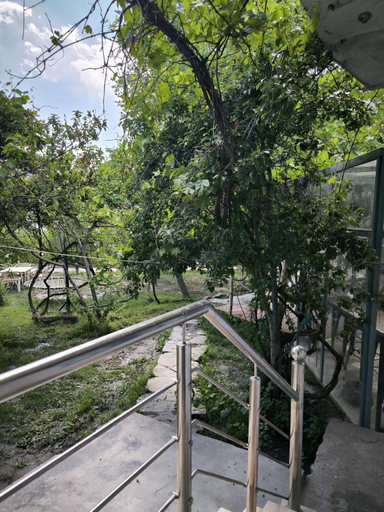 Others 5, Grapes Garden Resort Hunza, Northern Areas