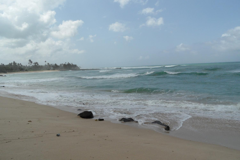 Others 4, Dolce Vita Surf Rest Point, Weligama