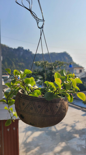 Others 3, Cat Ba Tiny Garden House, Cát Hải
