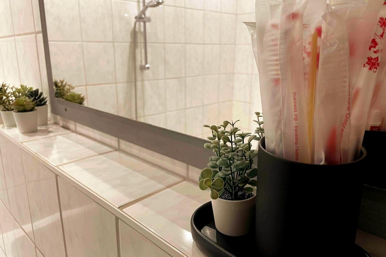 Bathroom, Cozy Studio Guesthouse next to city center & fair, Nürnberg