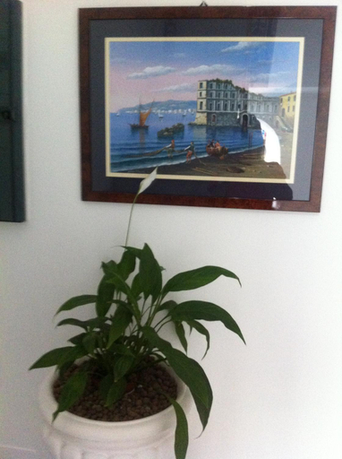 Others 4, Excelsior Mare Suite, Napoli