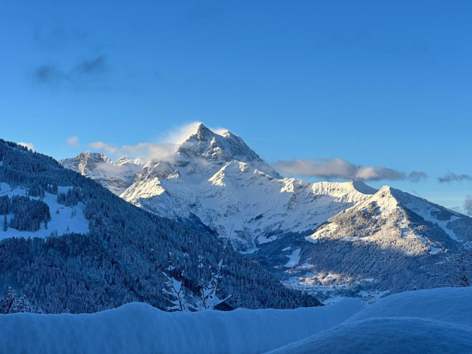 Others 2, Chalet Chalet Les Pars by Interhome, Aigle