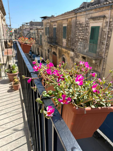 Exterior view 5, La Casa di Modica, Ragusa