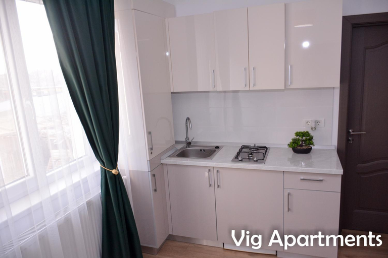 Others 3, Vig Apartments, Timisoara