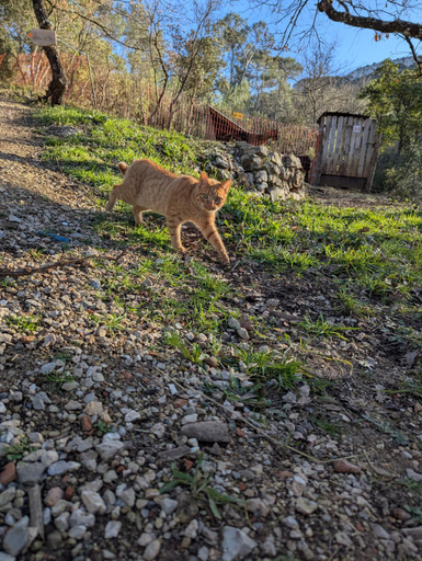 Others 4, Cabane des pachous, Var
