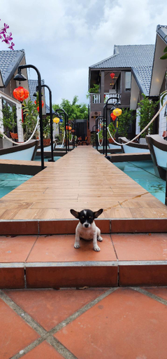 Sport & Beauty 2, Hoi An Coco Bungalows, Da Nang