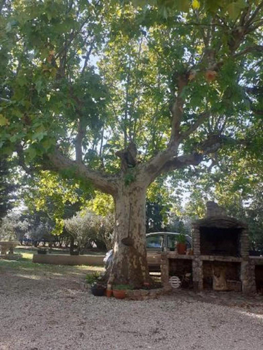 Garden 5, Le Mas Pacha, Vaucluse