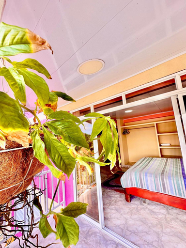 Bedroom 3, Posada Seven Colours Ocean, Providencia