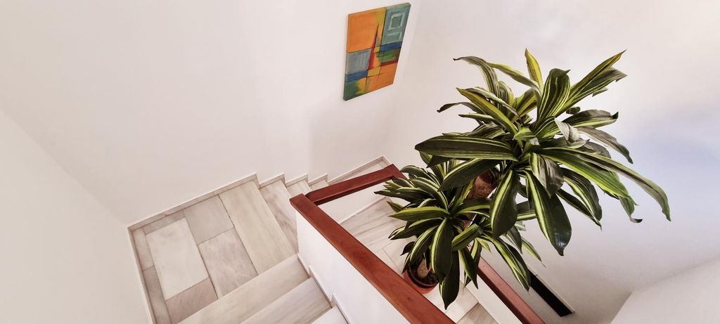 Others 5, Vivienda con fines turisticos "Casa Paquita", Jaén