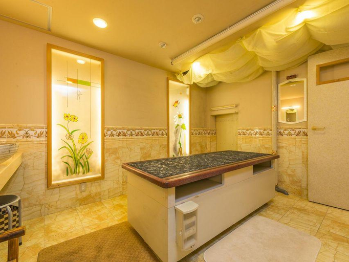 Bathroom, Akizuki Spa Ryokan Seiryuan, Asakura