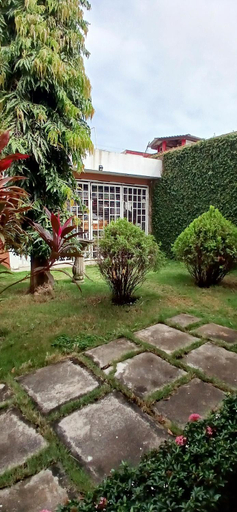 Others 3, Apartamentos Nokal, Masaya