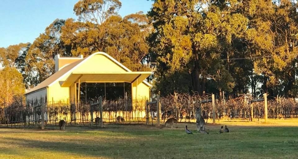 Others 5, Ironbark Hill Villa 3 - Saperavi, Singleton