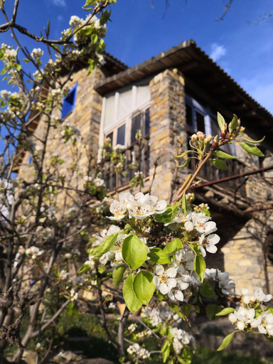 Others 4, Casa Marina, Huesca