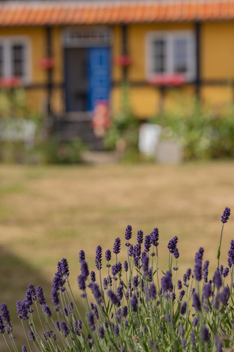 Others 5, Pension Slægtsgaarden, Bornholm