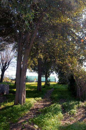Others 5, Villa Sole e Mare, Cagliari