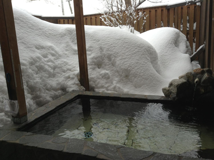 Others 5, Minamiya 山とねこと遊ぶ宿 みなみ家, Hakuba