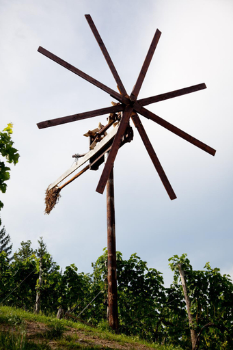 Others 5, Weingut spitzyPeitler, Leibnitz