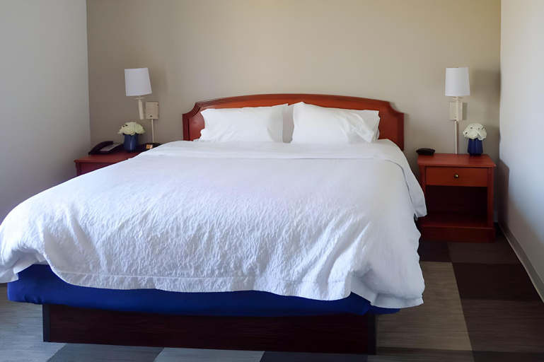 Bedroom 2, HAMPTON INN BURLINGTON/MOUNT HOLLY, Burlington