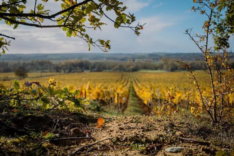 Others 5, Domaine Beausejour, Indre-et-Loire