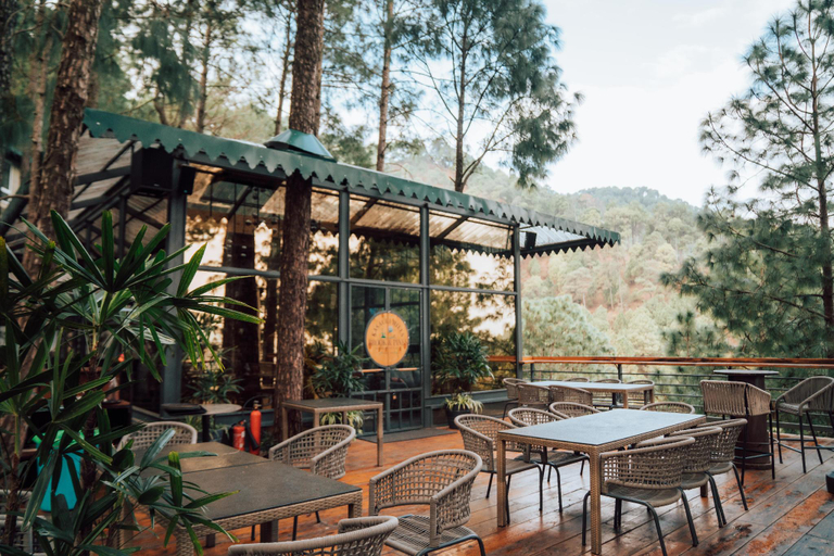 Food & Drinks 4, Kasauli Hills Resorts, Solan