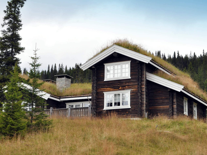 Exterior & Views, person holiday home in Favang-By Traum, Ringebu