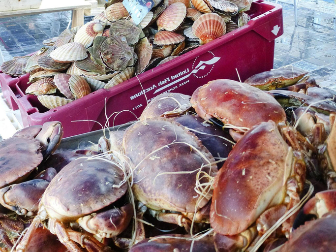 Food & Drinks, House in Saint-Quay near 7 Beaches, Côtes-d'Armor