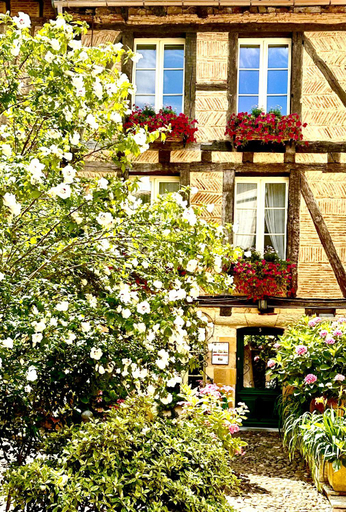 Exterior & Views 1, Le Logis Plantagenet, Dordogne