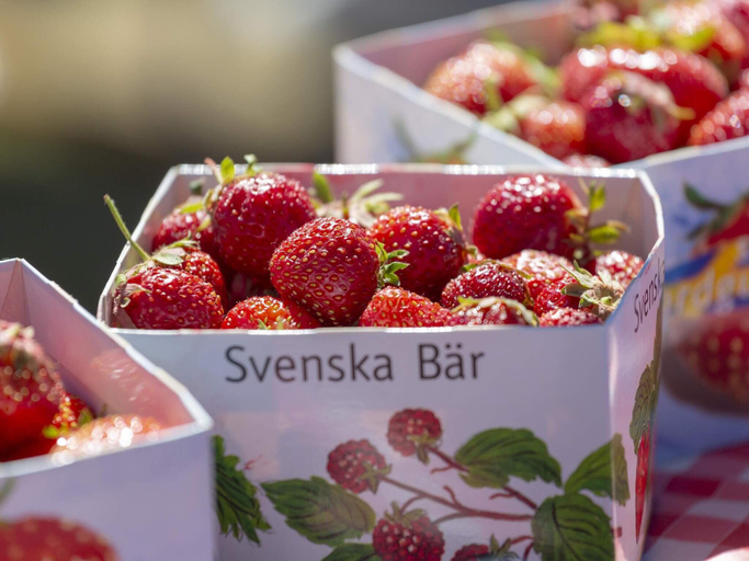 Food & Drinks, person holiday home in FALKOPING-By Traum, Falköping