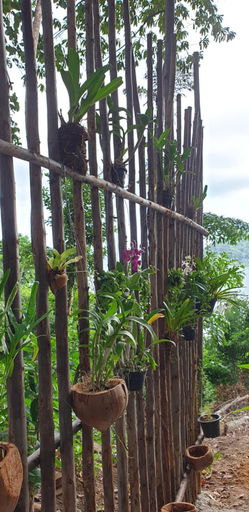 Others 5, Jeroen's Jungle View - Ground floor, Koh Chang