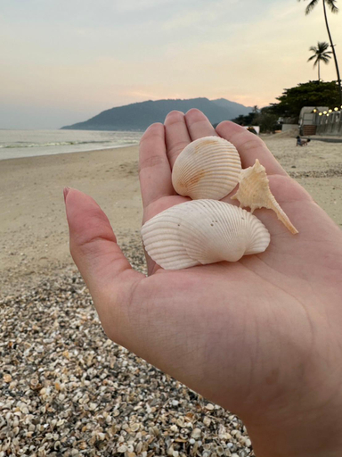 Beach 3, Khanom Paradise Resort, Khanom