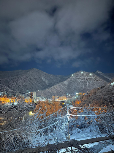 Others 5, Woodland Borjomi, Borjomi