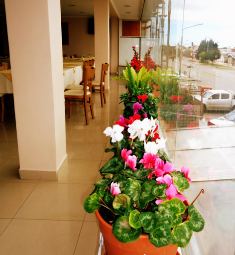 Food & Drinks 5, Hotel Liporaci, Güer Aike