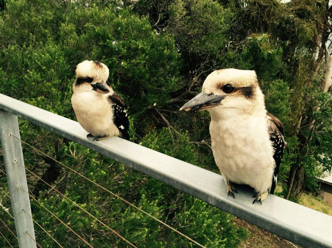Others 4, Ocean View - Views Galore, Colac-Otway - South