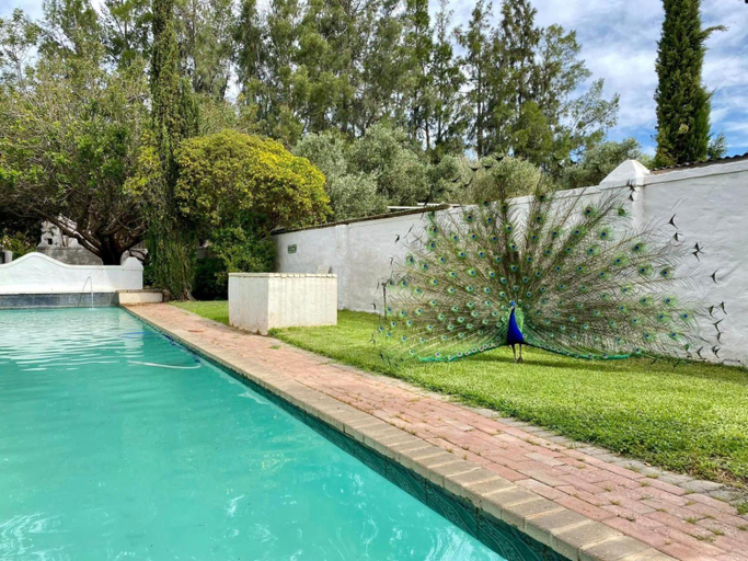 Sport & Beauty 2, Temenos Retreat, Cape Winelands