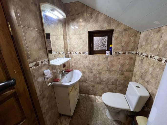 Bathroom, Farmstead Lisova, Mizhhirs'kyi