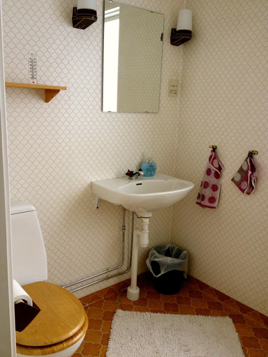 Bathroom 3, Stora Björnstugan in Laisvallby, Arjeplog