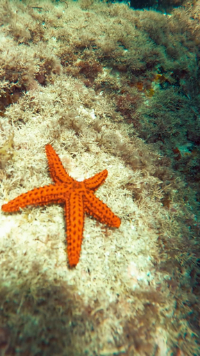 Others 5, Pousada Kundalini Arraial, Arraial do Cabo