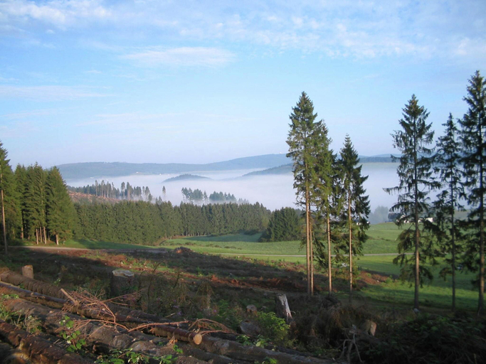 Others 4, Naturparadies Bad Laasphe, Siegen-Wittgenstein