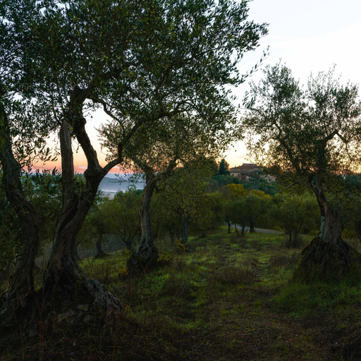4, Borgo La Pievina - Pool Villa, Siena