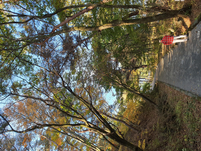 1, Jaecheon the green caravan and auto camping site, Jecheon
